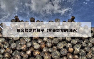 形容舞龙的句子（赞美舞龙的词语）