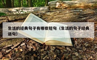 生活的经典句子有哪些短句（生活的句子经典语句）