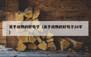 关于动物的好句子（关于动物的好句子20字）