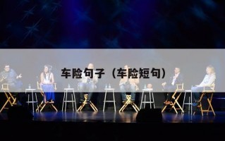 车险句子（车险短句）