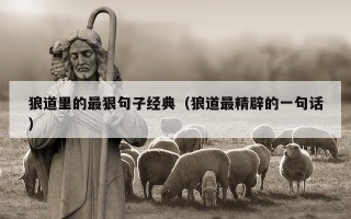 狼道里的最狠句子经典（狼道最精辟的一句话）