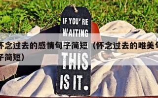 怀念过去的感情句子简短（怀念过去的唯美句子简短）