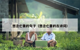 想念亡妻的句子（想念亡妻的古诗词）