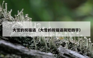 大雪的祝福语（大雪的祝福语简短四字）