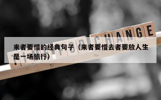 来者要惜的经典句子（来者要惜去者要放人生是一场旅行）