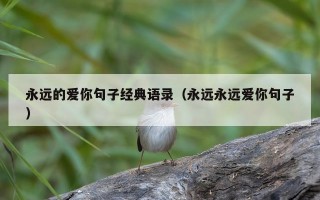永远的爱你句子经典语录（永远永远爱你句子）