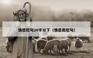 情感短句20字以下（情感类短句）