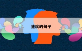 速度的句子