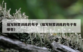 描写刻苦训练的句子（描写刻苦训练的句子有哪些）