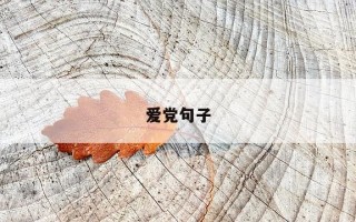 爱党句子