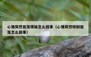 心情突然低落烦躁怎么回事（心情突然特别低落怎么回事）