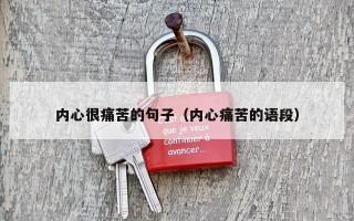内心很痛苦的句子（内心痛苦的语段）