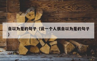自以为是的句子（说一个人很自以为是的句子）