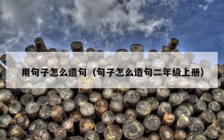 用句子怎么造句（句子怎么造句二年级上册）
