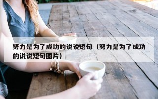 努力是为了成功的说说短句（努力是为了成功的说说短句图片）
