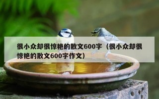很小众却很惊艳的散文600字（很小众却很惊艳的散文600字作文）