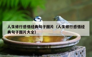 人生修行感悟经典句子图片（人生修行感悟经典句子图片大全）