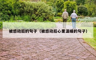 被感动后的句子（被感动后心里温暖的句子）