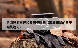 亲戚异乡重逢经典句子短句（亲戚相聚的句子唯美短句）