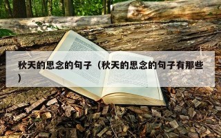 秋天的思念的句子（秋天的思念的句子有那些）