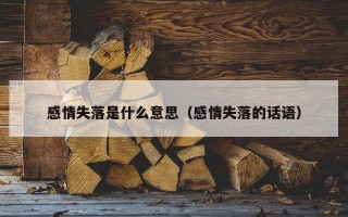 感情失落是什么意思（感情失落的话语）