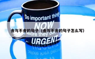 舍与不舍的句子（舍与不舍的句子怎么写）