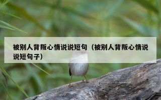 被别人背叛心情说说短句（被别人背叛心情说说短句子）