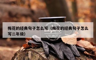 梅花的经典句子怎么写（梅花的经典句子怎么写二年级）