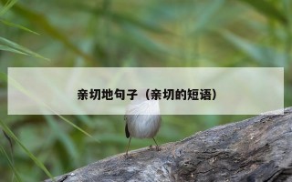 亲切地句子（亲切的短语）