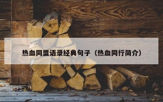 热血同盟语录经典句子（热血同行简介）