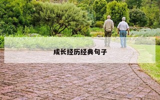 成长经历经典句子