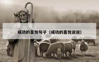 成功的喜悦句子（成功的喜悦说说）
