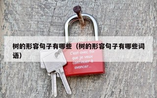树的形容句子有哪些（树的形容句子有哪些词语）