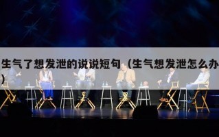 生气了想发泄的说说短句（生气想发泄怎么办）