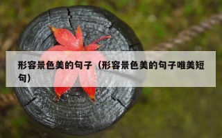 形容景色美的句子（形容景色美的句子唯美短句）