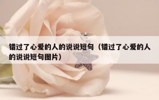 错过了心爱的人的说说短句（错过了心爱的人的说说短句图片）