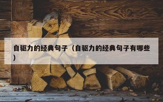 自驱力的经典句子（自驱力的经典句子有哪些）