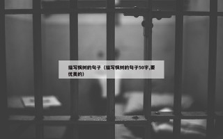 描写枫树的句子（描写枫树的句子50字,要优美的）