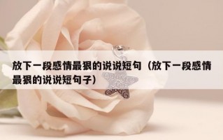 放下一段感情最狠的说说短句（放下一段感情最狠的说说短句子）