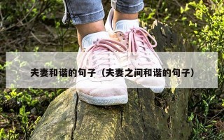 夫妻和谐的句子（夫妻之间和谐的句子）