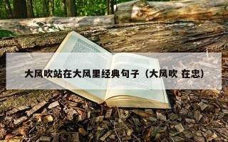 大风吹站在大风里经典句子（大风吹 在忠）