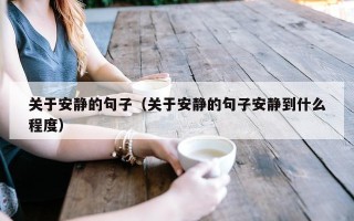 关于安静的句子（关于安静的句子安静到什么程度）