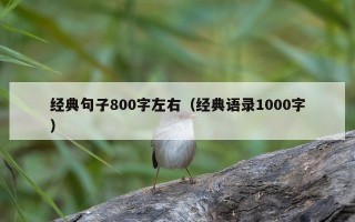 经典句子800字左右（经典语录1000字）