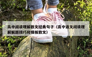高中阅读理解散文经典句子（高中语文阅读理解解题技巧和模板散文）