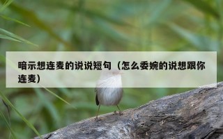 暗示想连麦的说说短句（怎么委婉的说想跟你连麦）