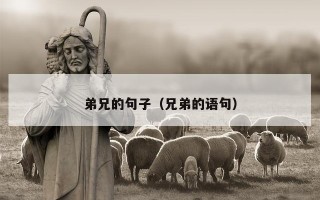 弟兄的句子（兄弟的语句）