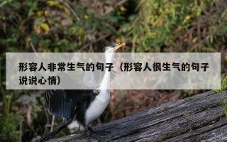 形容人非常生气的句子（形容人很生气的句子说说心情）