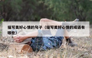 描写美好心情的句子（描写美好心情的成语有哪些）