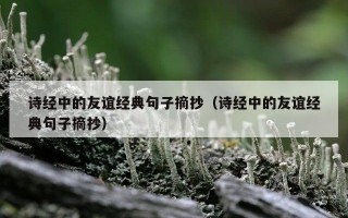 诗经中的友谊经典句子摘抄（诗经中的友谊经典句子摘抄）