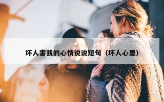坏人害我的心情说说短句（坏人心里）